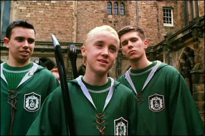 Il est attrapeur dans l'équipe de Serpentard.