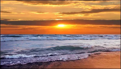 Dans quel film voit-on Dakota Johnson ?