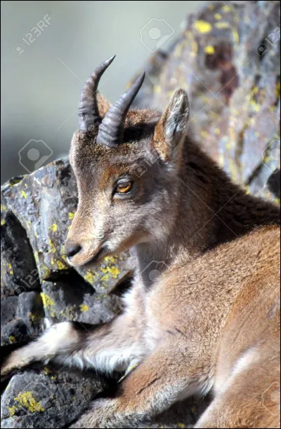 On peut voir Jodie Foster dans le film...