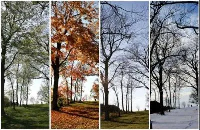 Sur Terre, les saisons sont dtermines par ...