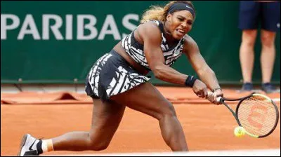 Quel est le nombre de tournois du Grand Chelem remportés par Serena Williams ?