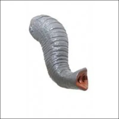 Quel animal a une trompe ?