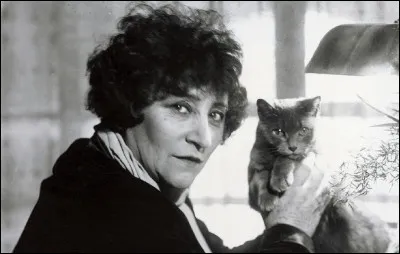 Qui a écrit le court roman ''La Chatte'' ?