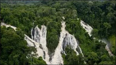 Le Gabon a créé ... parcs nationaux