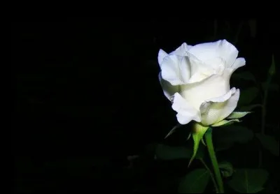 Avec la Chine et la Palestine, quel est l'autre pays où le blanc évoque le deuil ?