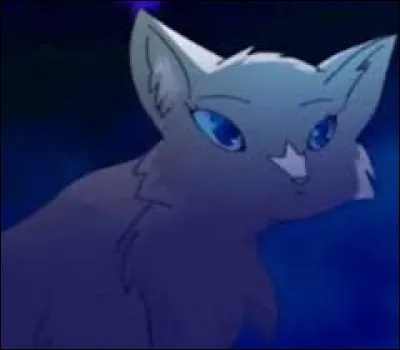 Qui est ce grand chef ?