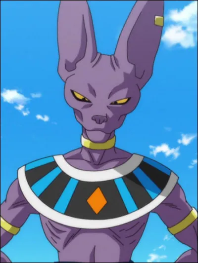 Comment s'appelle le frère seigneur de Beerus ?