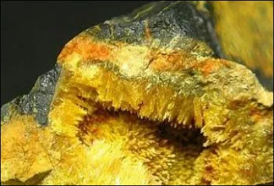 Dans quel milieu a-t-on découvert l'uranium ?