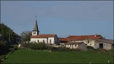 Je vous propose une balade dans le Grand-Est, &agrave; Lindre-Haute. Petit village de 50 habitants, dans l'arrondissement de Sarrebourg-Ch&acirc;teau-Salins, il se situe dans le d&eacute;partement ...