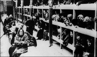 Quelle maladie a contracté Anne à Auschwitz ?