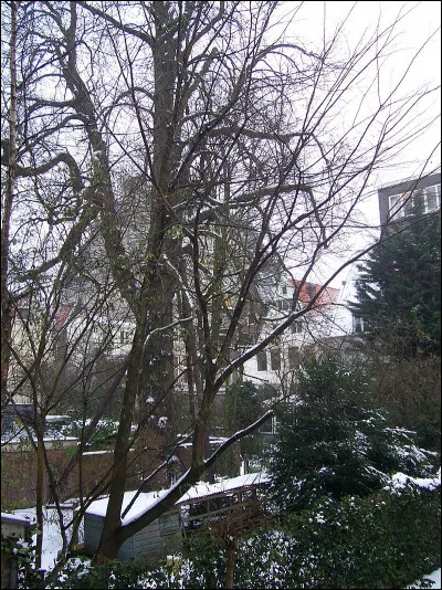 Par quoi est cachée la porte de l'annexe où ils logent ?
