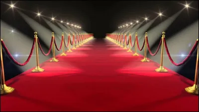 Laquelle de ces célébrités aimerais-tu le plus rencontrer ?