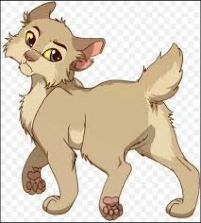 Qui est cet arrogant guerrier du Clan du Tonnerre ?