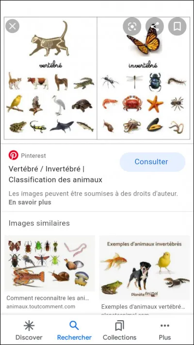 Coche l'animal que tu préfères !