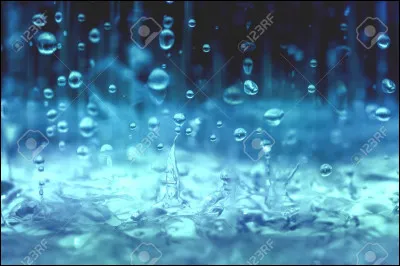 Présente une ressemblance frappante avec la laie, c'est l'...