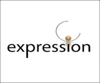 Qu'est qui n'amasse pas mousse selon l'expression ?