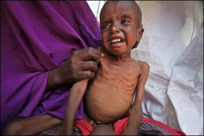 Selon la FAO, le nombre de morts par la famine chaque jour dans le monde est de...