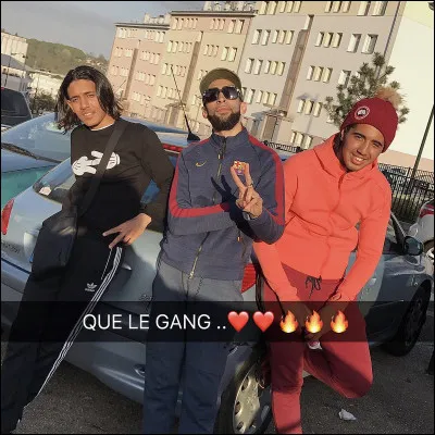 Qu'est-ce que le "zoo" ?