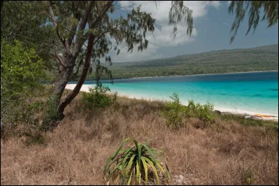 Le Timor oriental est divisé en ... municipalités administratives.
