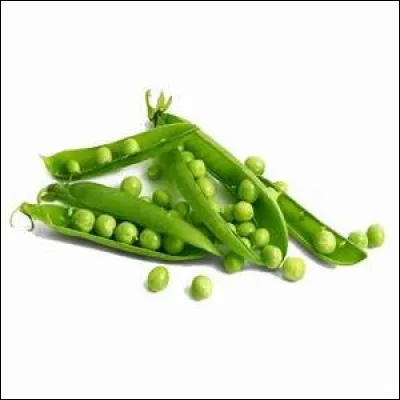 À votre avis qu'est-ce que c'est ?