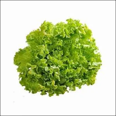 Quel est le nom de cette salade ?