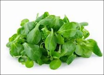 Qu'est-ce que c'est ?