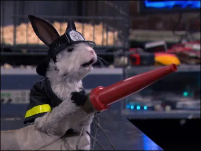 Qui est transformé en lapin ?