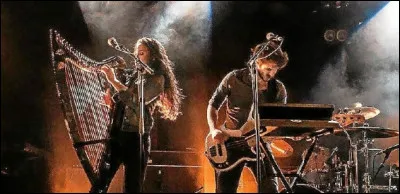 Sur la harpe, pour permettre au harpiste de se repérer, pensez-vous que certaines cordes possèdent des marques de couleur ?