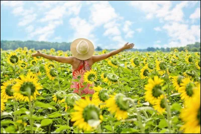 Conjuguer au futur de l'indicatif.
''Demain, il (faire) beau. La journée (être) ensoleillée.''