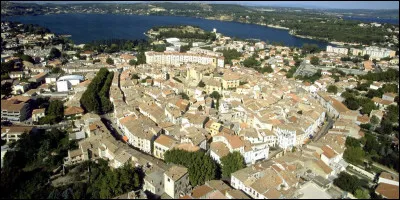 Ville de 43 000 habitants du département des Bouches-du-Rhône, en bordure de la plaine de la Crau :