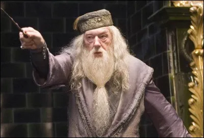 Albus Dumbledore est l'aîné des enfants de Perceval et Kendra Dumbledore. Il naît en 1881 dans le village de...