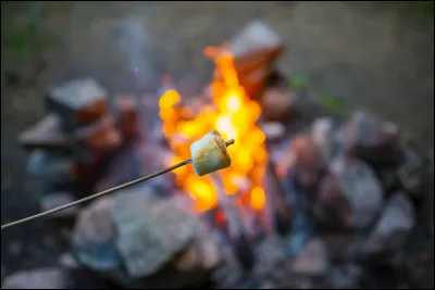 Quel metteur en scène a réalisé le film "La Guerre du feu" ?