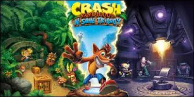 Quelle est l'occupation préférée de Crash Bandicoot ?