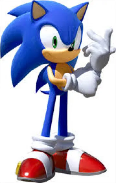 Quel est le métier de Sonic le hérisson ?