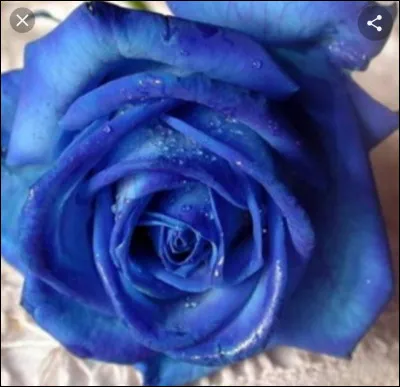 Selon un poème traditionnel anglais, la mariée doit porter quelque chose de bleu car ce dernier symbolise...