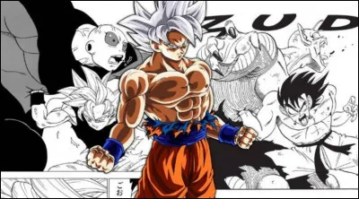 Quelle phrase préfères-tu dire ?