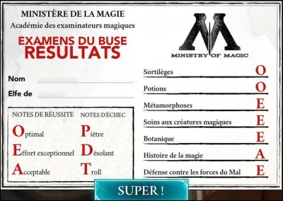 Que veut dire B.U.S.E.S ?