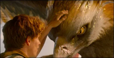 Petite question animaux fantastiques, comment s'appelle la créature pour laquelle Nut (ou Norbert) est allé en Amérique ? Donne-moi son nom complet (original).