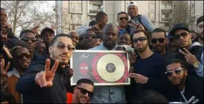 Quels rappeurs ou chanteurs préfères-tu ?