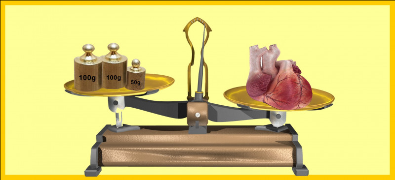 Le poids d'un coeur humain est supérieur à 250 grammes. Êtes-vous d'accord avec la balance ?