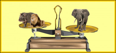 Un éléphant mâle de la savane africaine est plus lourd qu'un hippopotame mâle et un lion. Êtes-vous d'accord avec la balance ?