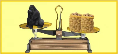 Un gorille des montagnes est plus léger que deux sacs de 25 kg de patates. Êtes-vous d'accord avec la balance ?