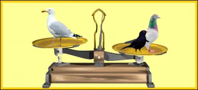 Le pigeon biset et le merle noir sont plus lourd que le goéland marin. Êtes-vous d'accord avec la balance ?