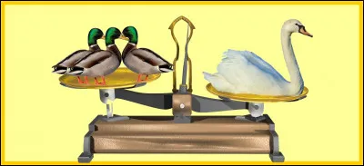 Le cygne est plus lourd que trois canards colvert. Êtes-vous d'accord avec la balance ?