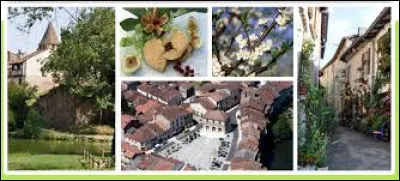 Nous partons maintenant à la découverte de Casseneuil. Ville néo-aquitaine, dans l'aire urbaine de Villeneuve-sur-Lot, elle se situe dans le département ...