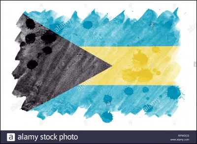 Quel pays poss&egrave;de ce drapeau ?