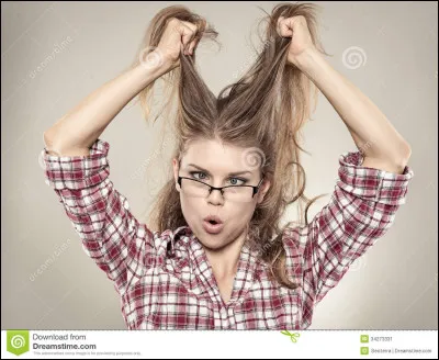 À qui doit-on l'essai "Éloge de la folie" ?