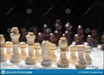 Quel est le principal interpréte du film "La Diagonale du fou" ?