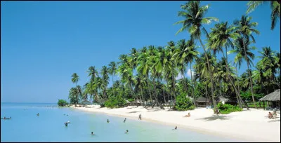 Sa superficie totale équivaut approximativement à...