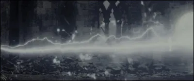 Petrificus Sanentur !